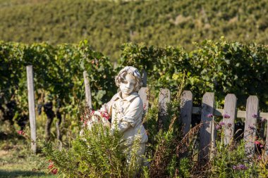 Saint Emilion, Fransa - 8 Eylül 2018: Saint Emilion bölgesindeki üzüm bağlarının arka planında üzüm sepeti tutan bir çocuğun heykeli. Fransa