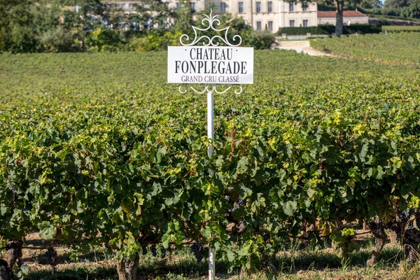 Saint Emilion Francia Septiembre 2018 Viñedo Chateau Fonplegade Nombre Literalmente — Foto de Stock