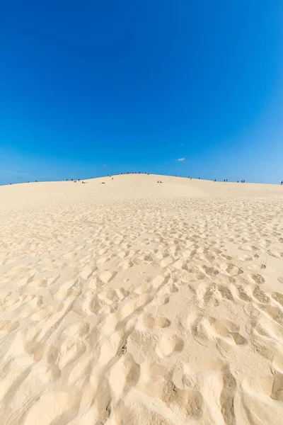 Pilat Kumulu Avrupa Nın Uzun Kum Tepesi Teste Buch Arcachon — Stok fotoğraf