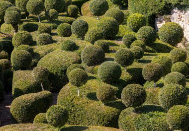  Jardins de Marqueyssac Fransa'nın Dordogne bölgedeki bahçelerde budama sanatı