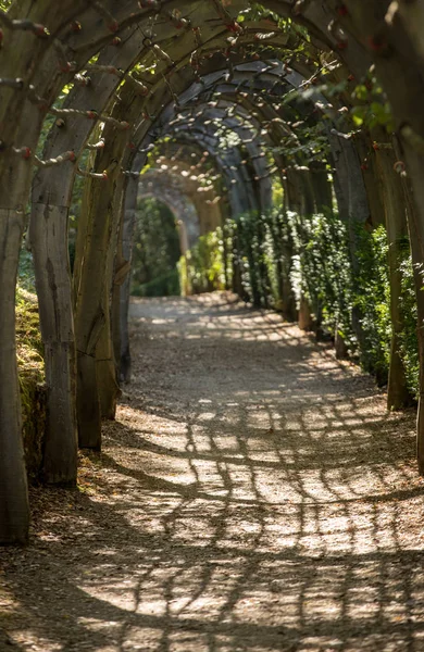 Растительный Тоннель Садах Маркизского Сада Французском Регионе Дордонь — стоковое фото