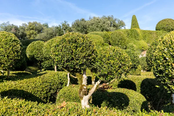 Topiary Los Jardines Los Jardines Marqueyssac Región Dordoña Francia —  Fotos de Stock