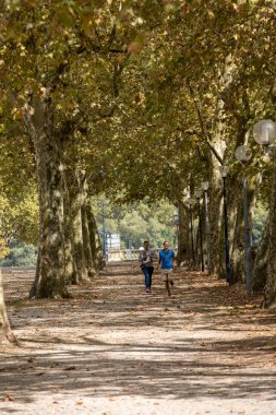 Bordeaux, Fransa - 9 Eylül 2018: Place des Quinconces, Bordeaux France boyunca yeşil ağaçlarla kaplı bir halk bahçesi.