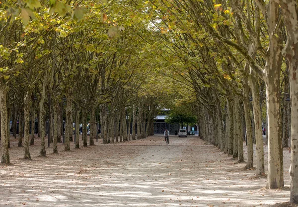 Bordeaux Francie Září 2018 Veřejná Zahrada Podél Place Des Quinconces — Stock fotografie