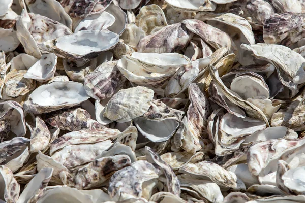 Miles Cáscaras Vacías Ostras Comidas Descartadas Fondo Del Mar Cancale —  Fotos de Stock