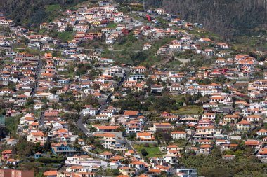 Madeira adasındaki Funchal 'ın dik yamaçlarında tipik teras mimarisi. Portekiz