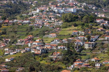 Madeira adasındaki Funchal 'ın dik yamaçlarında tipik teras mimarisi. Portekiz