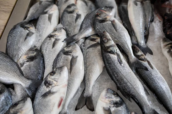 Poisson Frais Vendre Dans Marché Aux Poissons — Photo