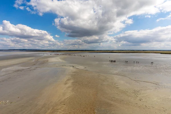 Group Hikers Bay Low Tide Hike Bay Knowledgeable Guide Mont — Stock Photo, Image