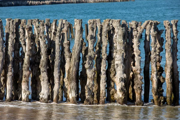 Big Breakwater 3000 Trunks Defend City Tides Plage Ventail Beach — стоковое фото