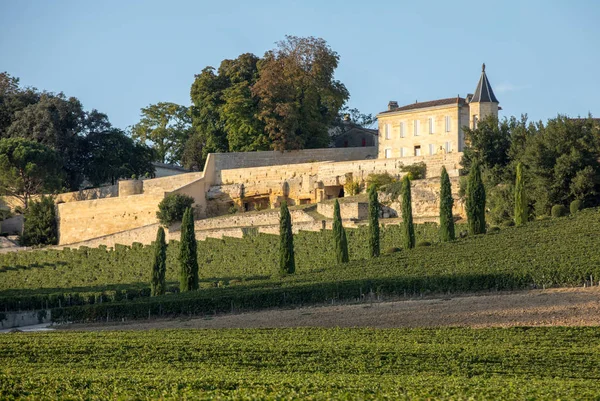 Saint Emilion Bölgesindeki Şarap Hasadından Önce Clos Madeleine Köşesindeki Üzüm — Stok fotoğraf