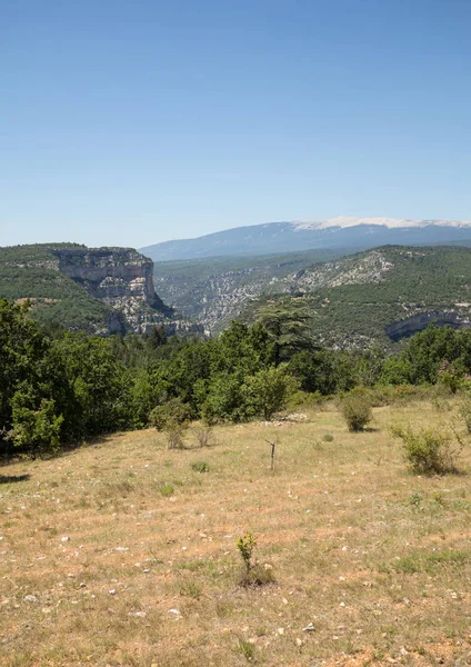 Landskap Departementet Vaucluse Provence Och Mont Ventoux Bakgrunden Frankrike — Stockfoto