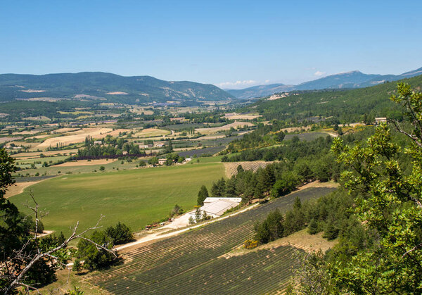 Fields and meadows in valley below Sault, Provence France