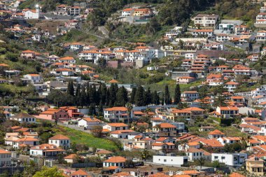 Madeira adasındaki Funchal 'ın dik yamaçlarında tipik teras mimarisi. Portekiz