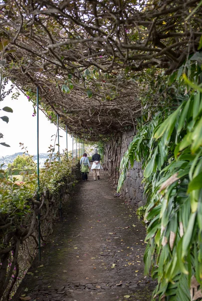 葡萄牙马德拉岛Funchal的热带植物园 — 图库照片