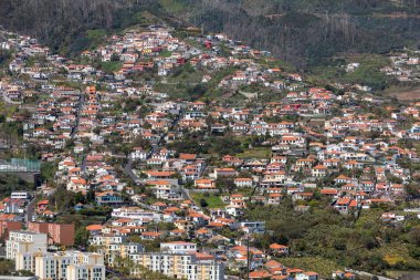 Madeira adasındaki Funchal 'ın dik yamaçlarında tipik teras mimarisi. Portekiz