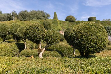 Dordogne, Fransa - 3 Eylül 2018: Jardins de Marqueyssac Fransa'nın Dordogne bölgedeki bahçelerde budama sanatı