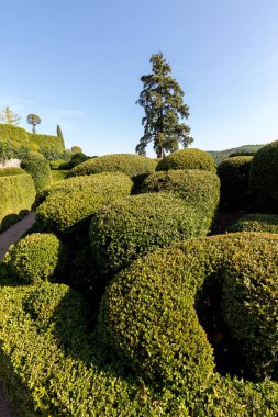  Jardins de Marqueyssac Fransa'nın Dordogne bölgedeki bahçelerde budama sanatı