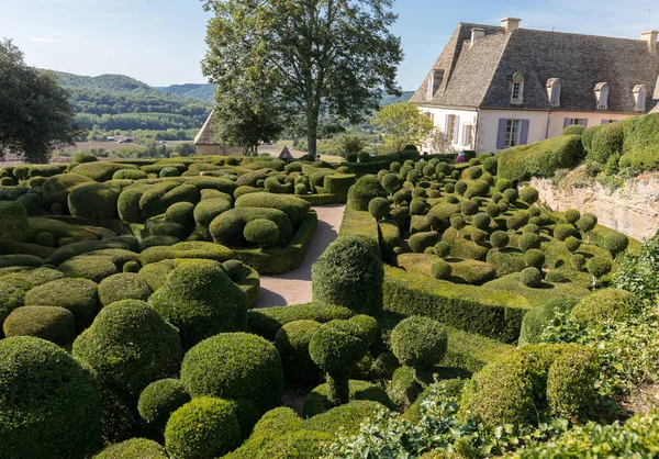 Дордонь Франція Вересня 2018 Topiary Садах Jardins Marqueyssac Дордонь Франції — стокове фото