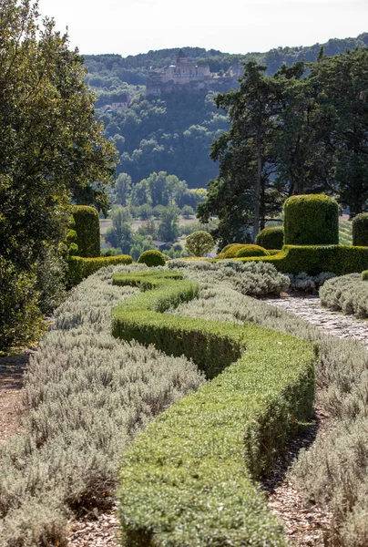 Сады Jardins Marqueyssac Регионе Дордонь Франции — стоковое фото