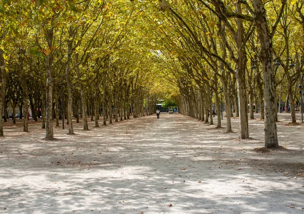 Bordeaux Francie Září 2018 Veřejná Zahrada Podél Place Des Quinconces — Stock fotografie