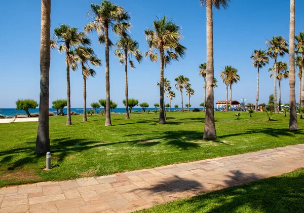 View of palms and beach in Malia on Crete, Greece