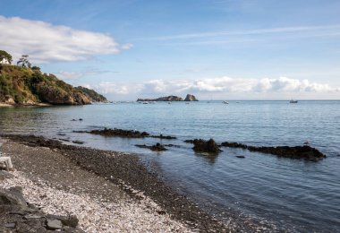 Cancale 'de istiridye kabukları ile sahil. Brittany, Fransa,