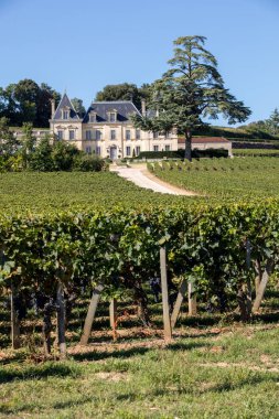Saint Emilion, Fransa - 11 Eylül 2018: Chateau Fonplegade üzüm bağı - adı (tam anlamıyla bol çeşme) 13. yüzyıldan kalma tarihi üzüm bağından türetilmiştir. Aziz Emilion, Fransa