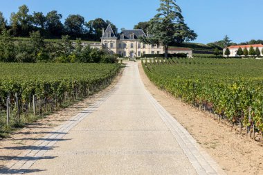 Saint Emilion, Fransa - 11 Eylül 2018: Chateau Fonplegade üzüm bağı - adı (tam anlamıyla bol çeşme) 13. yüzyıldan kalma tarihi üzüm bağından türetilmiştir. Aziz Emilion, Fransa