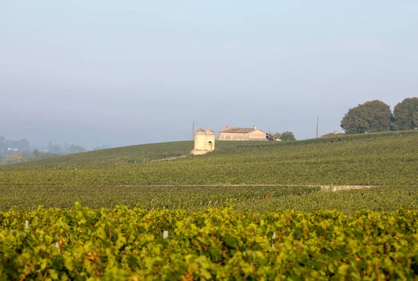 Luz Mañana Los Viñedos Saint Georges Montagne Cerca Saint Emilion — Foto de Stock