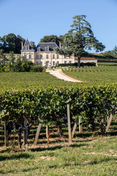 Saint Emilion France September 2018 Vineyard Chateau Fonplegade Name Literally — стоковое фото