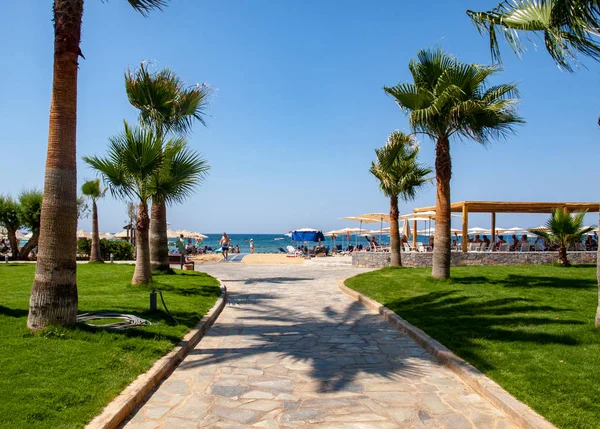 Malia Creta Grecia Giugno 2019 Giardino Hotel Lusso Malia Creta — Foto Stock
