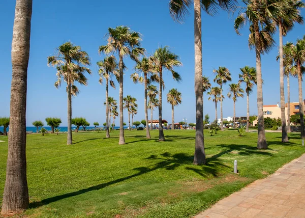 View of palms and beach in Malia on Crete, Greece