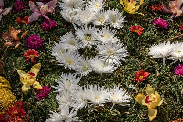 Schoonheid Floristische Decoratie Met Kleurrijke Tropische Bloemen — Stockfoto