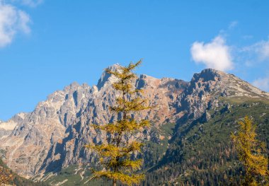 Vysoke Tatry 'deki Büyük Soğuk Vadi (High Tatras), Slovakya. Büyük Soğuk Vadi 7 km uzunluğundadır ve turistler için çok çekicidir.