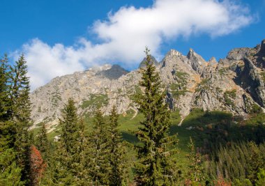 Vysoke Tatry 'deki Büyük Soğuk Vadi (High Tatras), Slovakya. Büyük Soğuk Vadi 7 km uzunluğundadır ve turistler için çok çekicidir.