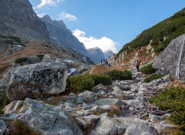 Vysoke Tatry, Slovakya - 10 Ekim 2018: Great Cold Valley, Vysoke Tatry (High Tatras), Slovakya 'da yürüyüş yapanlar. Büyük Soğuk Vadi 7 km uzunluğundadır ve turistler için çok çekicidir.