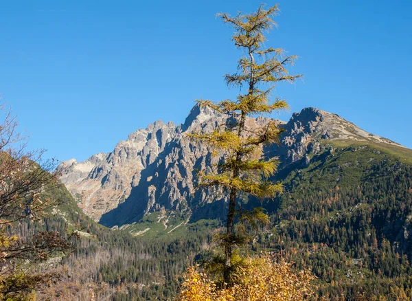 Valley Five Spis Lakes Montañas Del Alto Tatra Eslovaquia —  Fotos de Stock