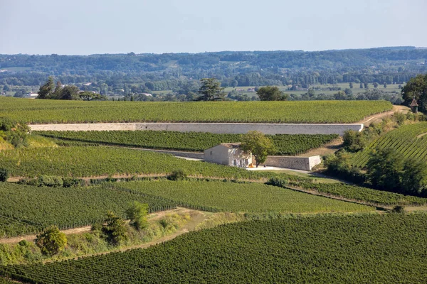 Famous French Vineyards at Saint Emilion town near Bordeaux, France. St Emilion is one of the principal red wine areas of Bordeaux and very popular tourist destination.