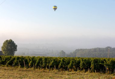 Saint Emilion, Fransa - 10 Eylül 2018: sabah Saint Emilion yakınlarındaki üzüm bağları üzerinde uçan hava balonu. Gironde, Fransa