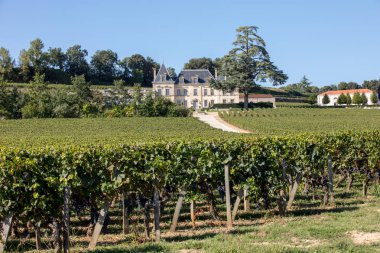 Saint Emilion, Fransa - 11 Eylül 2018: Chateau Fonplegade üzüm bağı - adı (tam anlamıyla bol çeşme) 13. yüzyıldan kalma tarihi üzüm bağından türetilmiştir. Aziz Emilion, Fransa