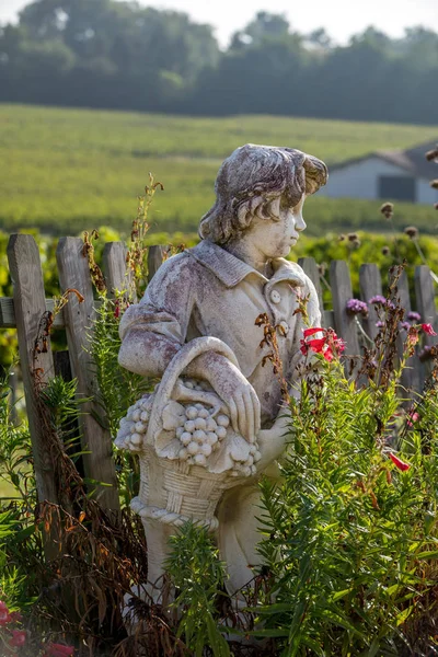 Socha Chlapce Držícího Košík Hrozny Pozadí Vinic Regionu Saint Emilion — Stock fotografie