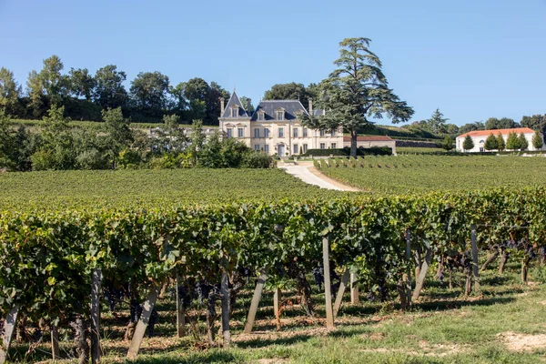 Saint Emilion Francia Septiembre 2018 Viñedo Chateau Fonplegade Nombre Literalmente — Foto de Stock