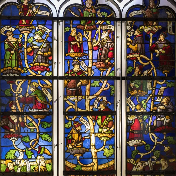 Troyes France August 2018 Exhibition Beautiful Stained Glass Windows Cite — Stock Photo, Image