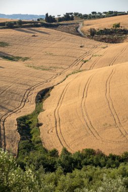 Abruzzo tepelerinde yükseltmelerdeki tahıl büyüyen alanları. İtalya