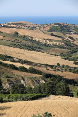 Adriyatik Denizi hills Abruzzo ve arka planda yükseltmelerdeki panoramik manzaralı Zeytinlik ve çiftlikleri. İtalya