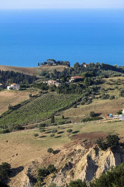 Vista Panorâmica Olivais Fazendas Colinas Rolantes Abruzzo Fundo Mar Adriático — Fotografia de Stock