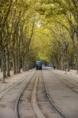 Bordeaux, Fransa - 9 Eylül 2018: Fransa 'nın Bordeaux şehrindeki modern tramvay şehrin merkezinde bulunan Allees de Münih' ten geçiyor. Gironde, Fransa 