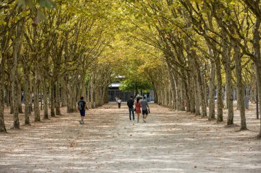 Bordeaux, Fransa - 9 Eylül 2018: Place des Quinconces, Bordeaux France boyunca yeşil ağaçlarla kaplı bir halk bahçesi.