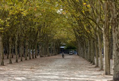 Bordeaux, Fransa - 9 Eylül 2018: Place des Quinconces, Bordeaux France boyunca yeşil ağaçlarla kaplı bir halk bahçesi.